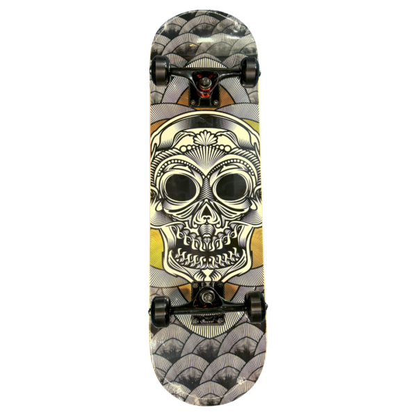 7 Layer Imported Northeastern Maple Complete Skateboard - Skull